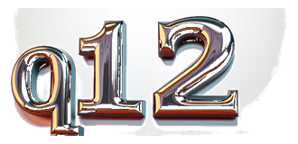 q12 logo